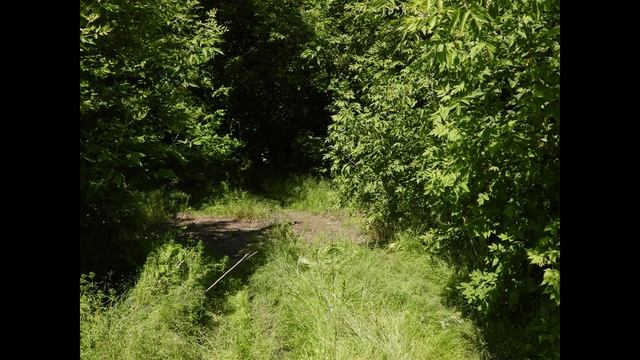 Покинутые и забытые. Атмосфера заброшенных деревень