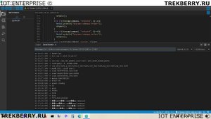 ESP32 CAM храним SSID, PASSWORD, HOST, PORT, IMEI во внутренней памяти с возможностью перезаписи