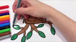 Занятия для детей. Учим, где живут животные.