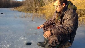 Зимняя рыбалка в Раменском на жерлицы  Украли щуку