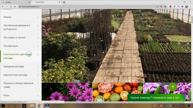 Садовые интернет магазины - от каких отказалась и почему? А где буду делать заказы для сезона 2021. смотреть онлайн