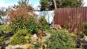 Мой Декоративный Сад в Сентябре/ Новый Дизайн/  #garden #сад #жизньвстилепрованс #жизньзагородом