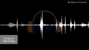 Sennheiser HD 650 vs Sennheiser HD 560S Sound Demo featuring Electronic/HipHop/Vocals/Metal/Lofi