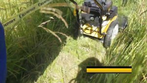 Колесный триммер Champion LMH5629