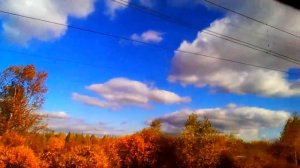 красота осени в движении поезда