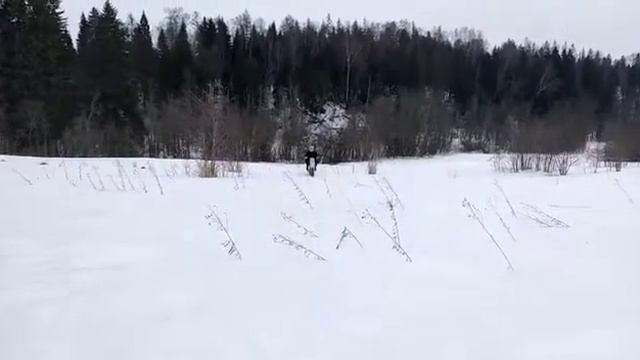 Гусеница Yeti na Kayo ZS155 смотреть онлайн