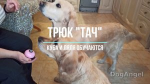 Куба и Ляля делают "тач"