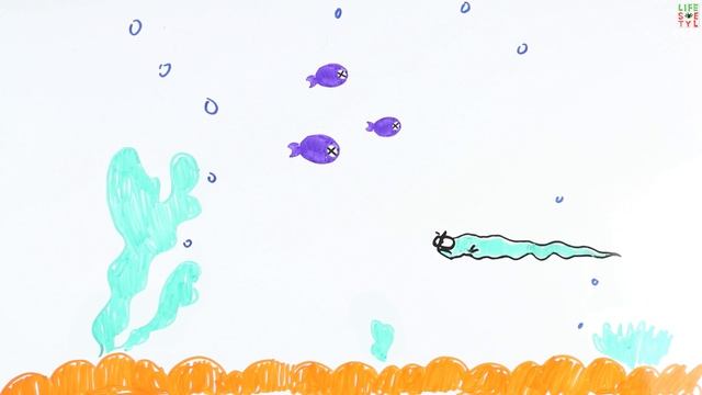 Как угорь и скат вырабатывают ток? смотреть онлайн