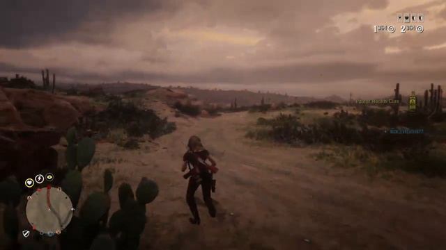 (Red Dead Redemption 2) Armadillo Griefer(s) picked the wrong cowgirl to mess with смотреть онлайн