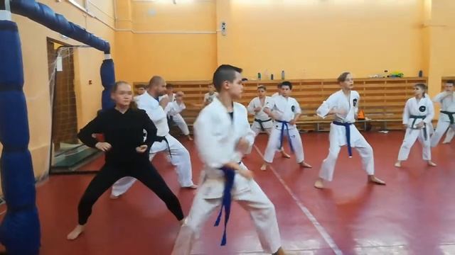 Каратэ Шотокан отработка ударов локтями, базовая техника.