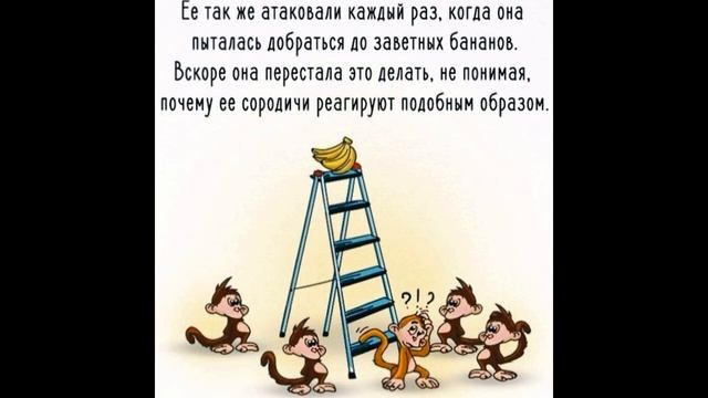 ШОК!!! Вы знали почему гомеопатия не работает! смотреть онлайн