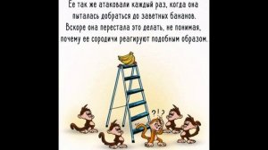 ШОК!!! Вы знали почему гомеопатия не работает!