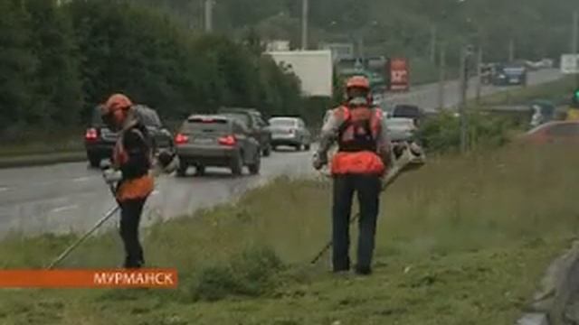 Сенокос на мурманских лужайках и газонах смотреть онлайн