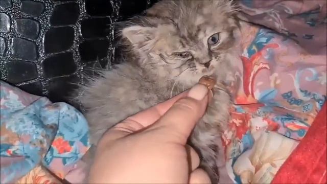 С чем приезжает волонтер из отпуска?  С будущим счастьем для кого-то!
