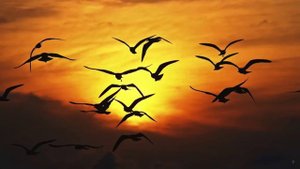 Боже, нет Тебя дороже | Валерия Величко