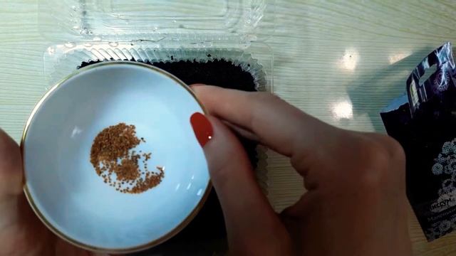 АЛИССУМ. МЕДОВЫЙ АРОМАТ В ВАШЕМ САДУ. ПОСЕВ 2021 смотреть онлайн