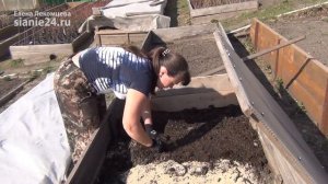 Готовим землю для посева капусты