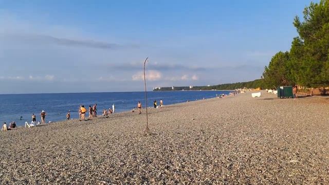 Фильм 3й, Абхазия, Пляж Лидзавы, Сосновая роща