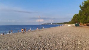 Фильм 3й, Абхазия, Пляж Лидзавы, Сосновая роща