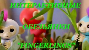 Интерактивная обезьянка FingerLings (Фингерлингс) WowWee с АлиЭкспресс. Видео обзор. 