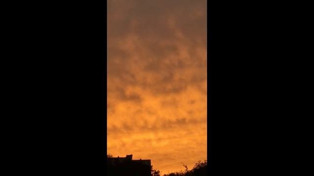 Ответы на вопросы: выпуск 59