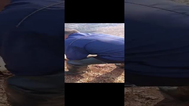 Запуск малька в Колхозный пруд