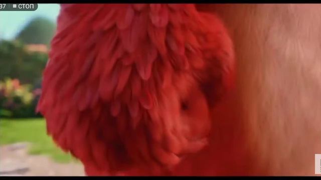 Энгри бердс смотреть онлайн