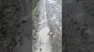 Грузия гардабани 23 04 2020