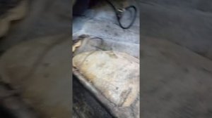 Ремонт стеклопластикового катера