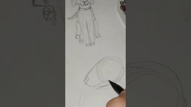 рисую БУЛЬТЕРЬЕРА /как нарисовать собаку /рисую собаку за 3 минуты/