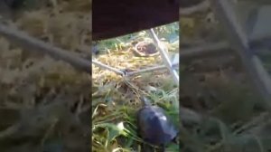 Рыбалка в наро-фоминске