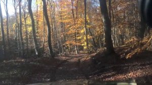 Офроад на Тойота Форанер / Toyota 4Runner на Петралар / Крым 4х4 / Off-road