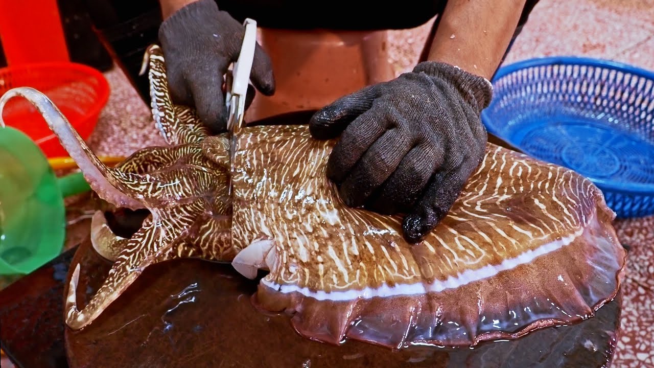 Разделка огромной каракатицы на тайваньском рынке.