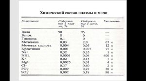 Частная биохимия. Почки и моча. часть 3. 2023