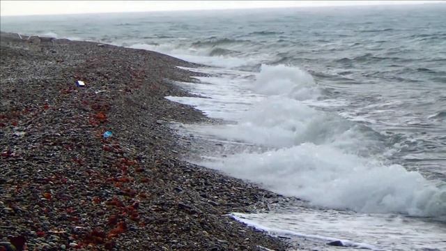 ?Лазаревское 2020\ Рыбалка на море\ Поймал кефаль и чуларку. Рыжик и Клипса\ Сочи 30.10.2020