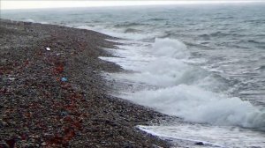 ?Лазаревское 2020\ Рыбалка на море\ Поймал кефаль и чуларку. Рыжик и Клипса\ Сочи 30.10.2020