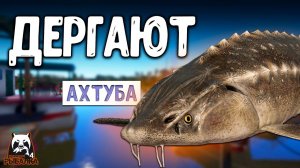RF4 ДЕРГАЮТ ТОЛЬКО ТАК ГЛАВНОЕ УСПЕЙ #рр4