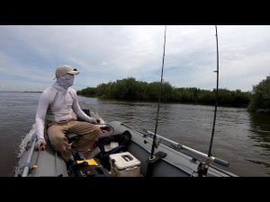 И всё таки я их нашёл. Рыбалка на спиннинг на реке Амур