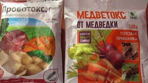 Проволочник и кивсяк.Какими препаратами можно вывести.