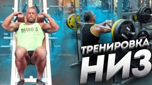 ТРЕНИРОВКА ДЛЯ НИЖНЕЙ ЧАСТИ ТЕЛА "НИЗ"