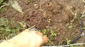 Добываем электричество из земли