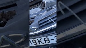 Как открыть капот снаружи Chery A13 Zaz Forza Chery Bonus Обрыв троса капота как открыть капот