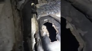 Страшный сон владельцев Гелендвагена w463.