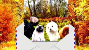 МАРИНА ЦВЕТАЕВА.  Я ПРИШЛЮ ТЕБЕ ОСЕНЬ