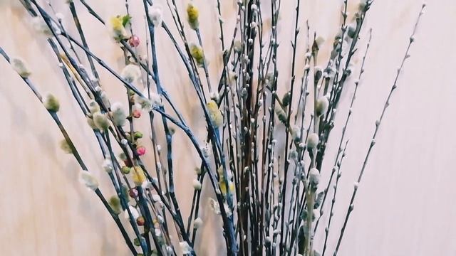 Верба - священное растение и оберег: ритуальное значение и особенности выращивания смотреть онлайн