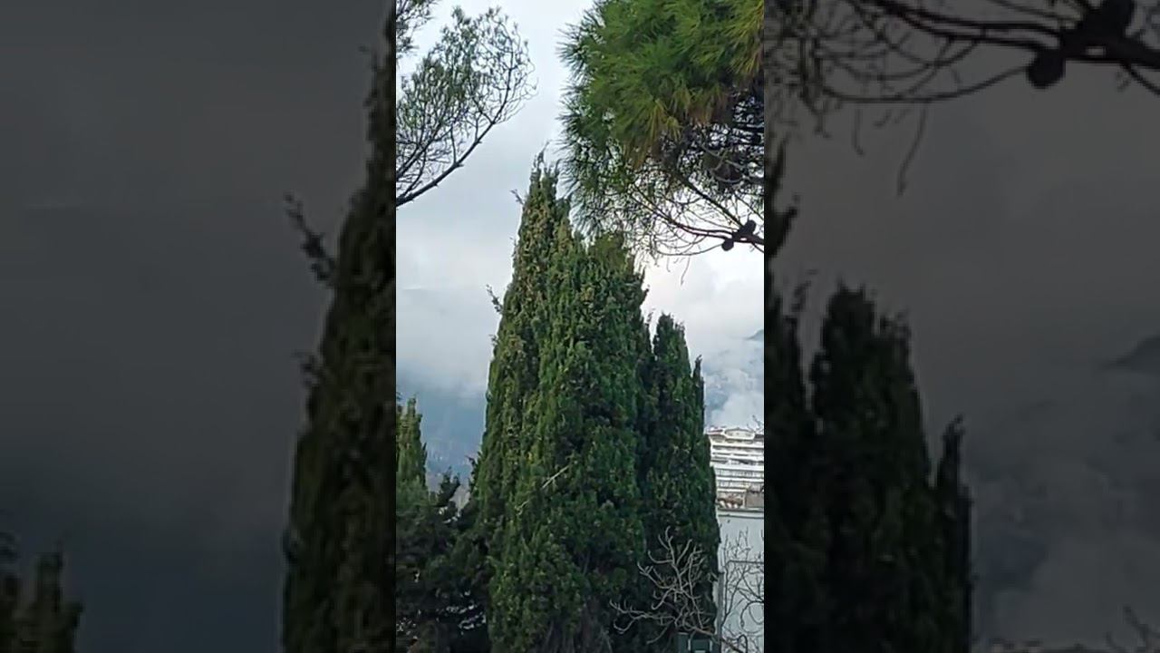 Красоты Крыма #крым #олегялта #ялтаliveкрым / Жизнь в Ялте