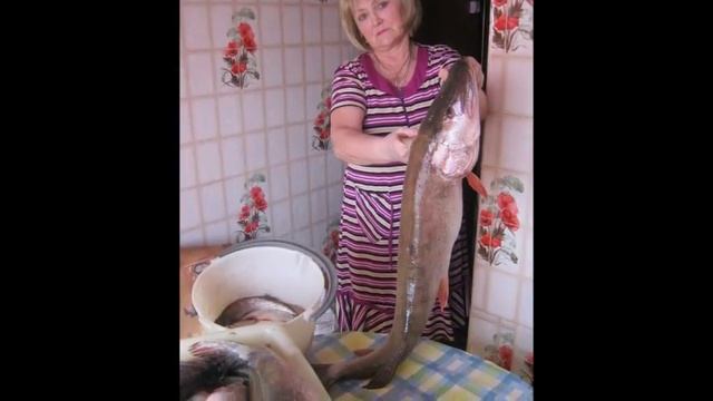 Я рыбачка,ты рыбак и золотая рыбка Скачать в HD смотреть онлайн