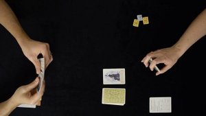 Лисица на опушке - карточная игра на взятки (правила, лестплей)