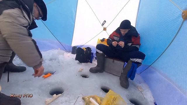 Истринское водохранилище, пляж трусова.Зимняя рыбалка 30.12.2021