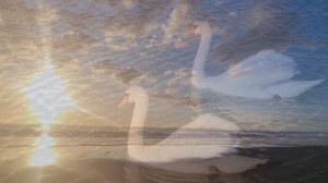 TAVASZI SZÉL VIZET ÁRASZT/Spring wind floods water  by BETTY FODOR KNOWLES & Molnár Zoltán László